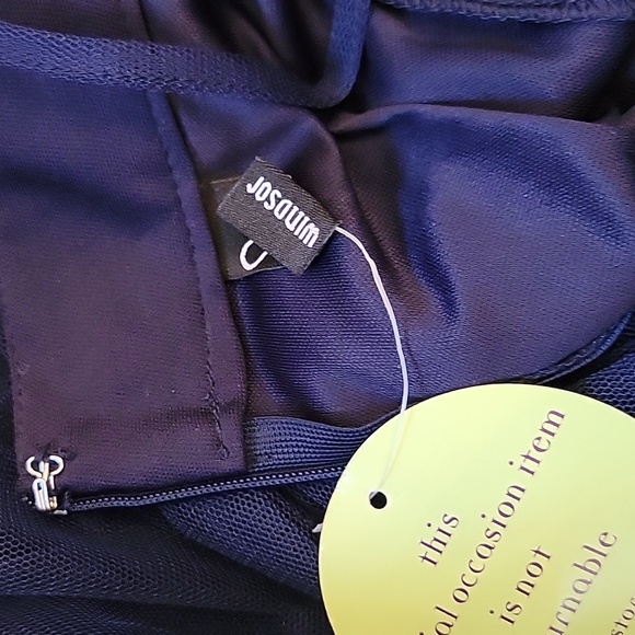 Windsor Elizabeth Pleated Tulle Maxi Dress - Picture 10 of 13